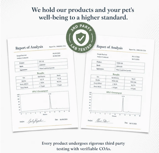 Eola™ Dog Mobility Support Supplement