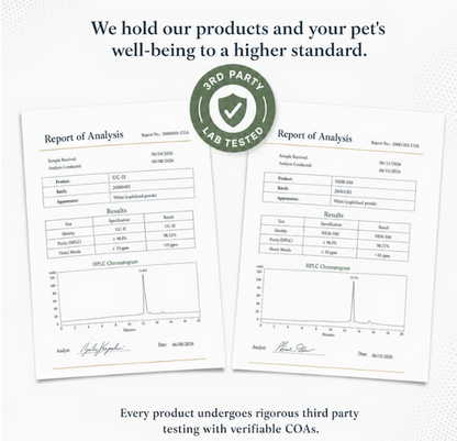 Eola™ Dog Mobility Support Supplement