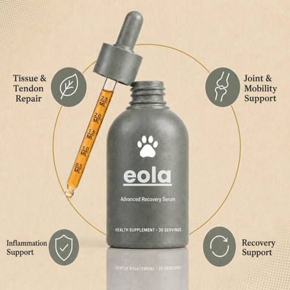 Eola™ Dog Mobility Support Supplement