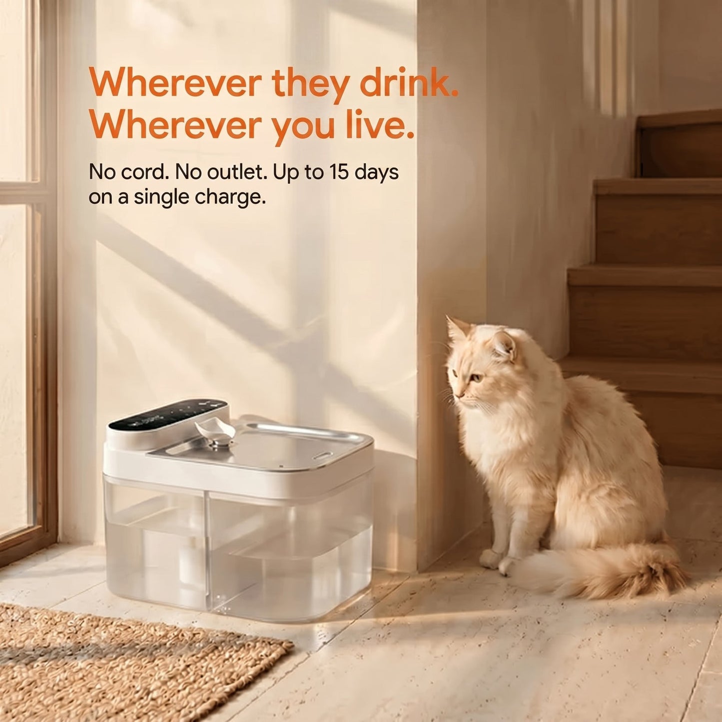 Eola™ Clear Flow